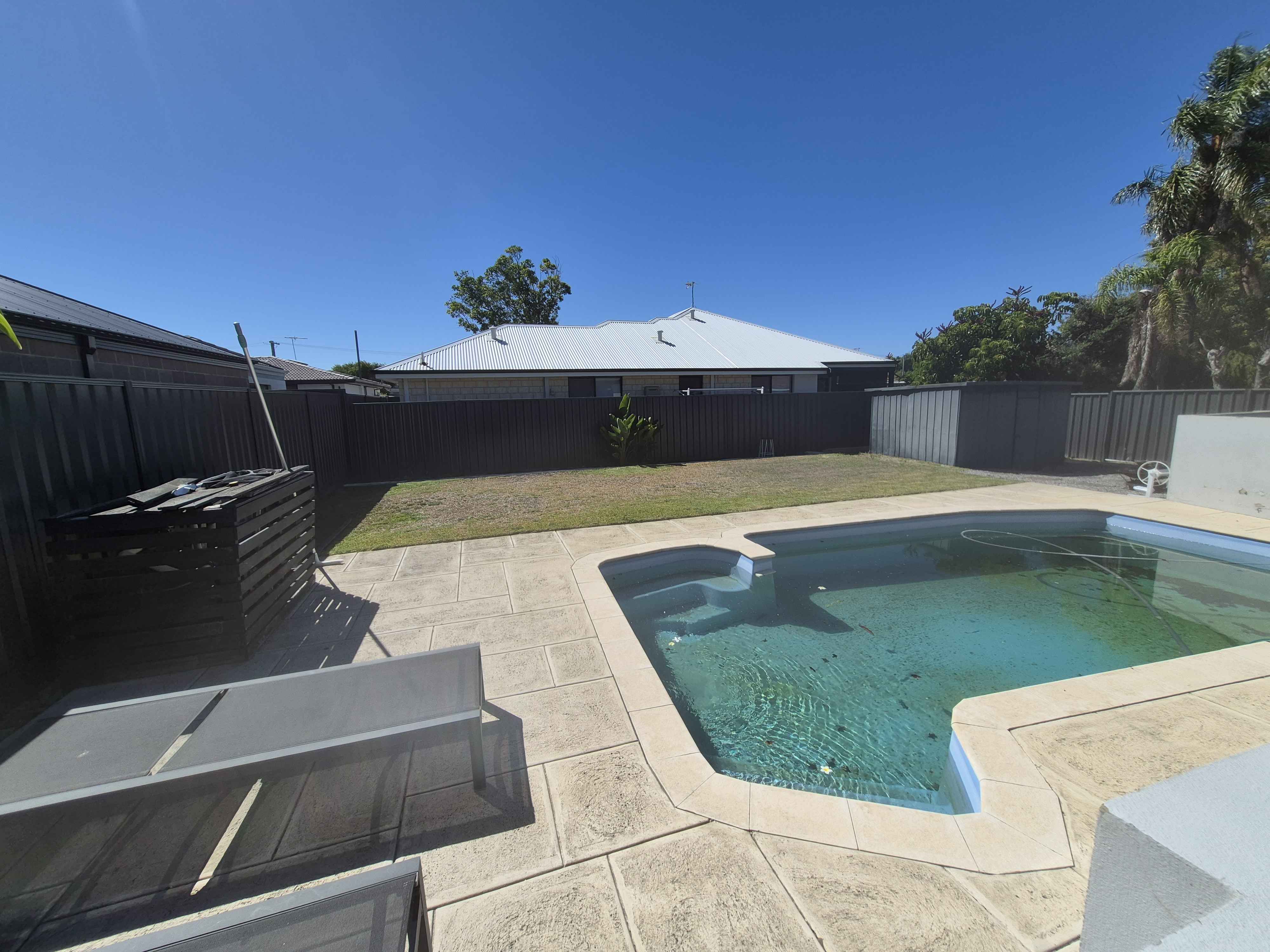 Lawn Transformation